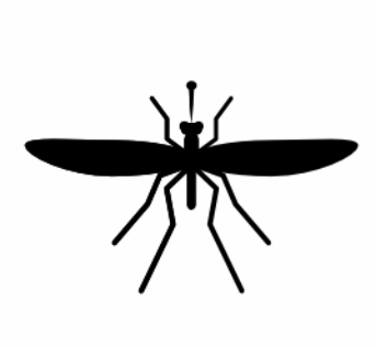 Nyamuk