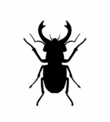 Store Product Insects